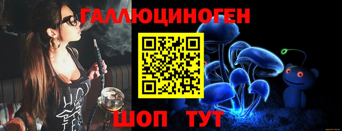Галлюциногенные грибы Psilocybe Чистополь